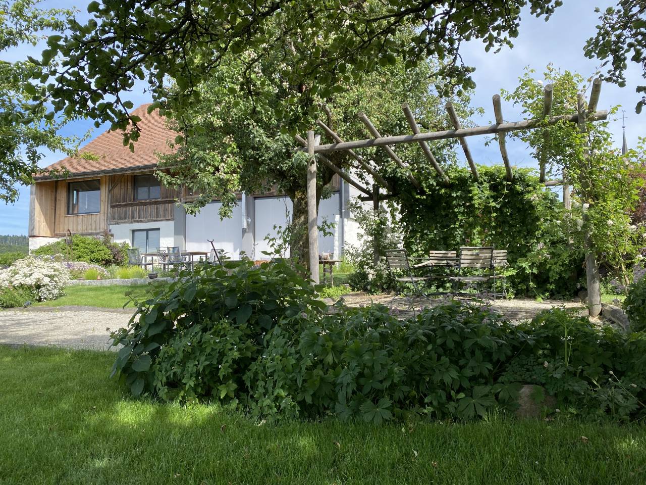 Paarden boerderij Koop Vaud