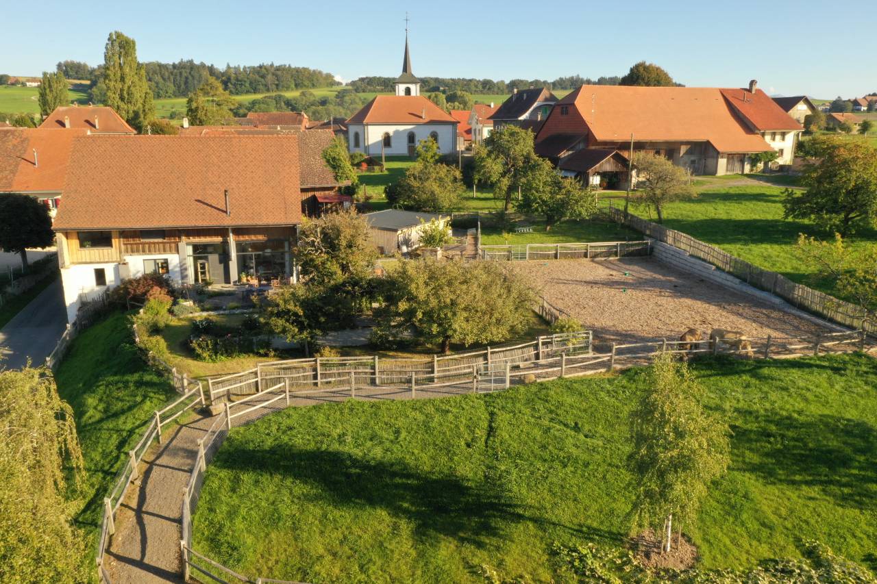Paarden boerderij Koop Vaud