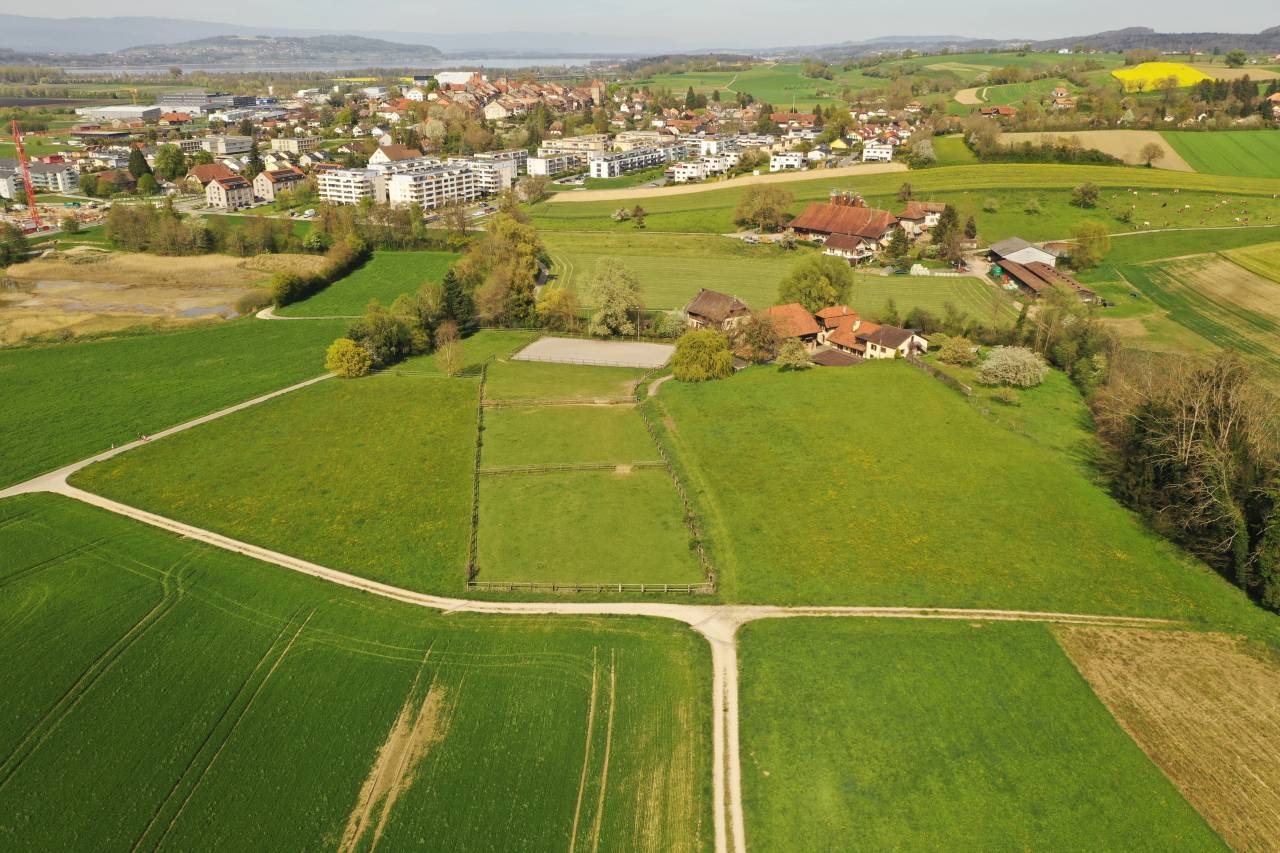 Paarden boerderij Koop Fribourg