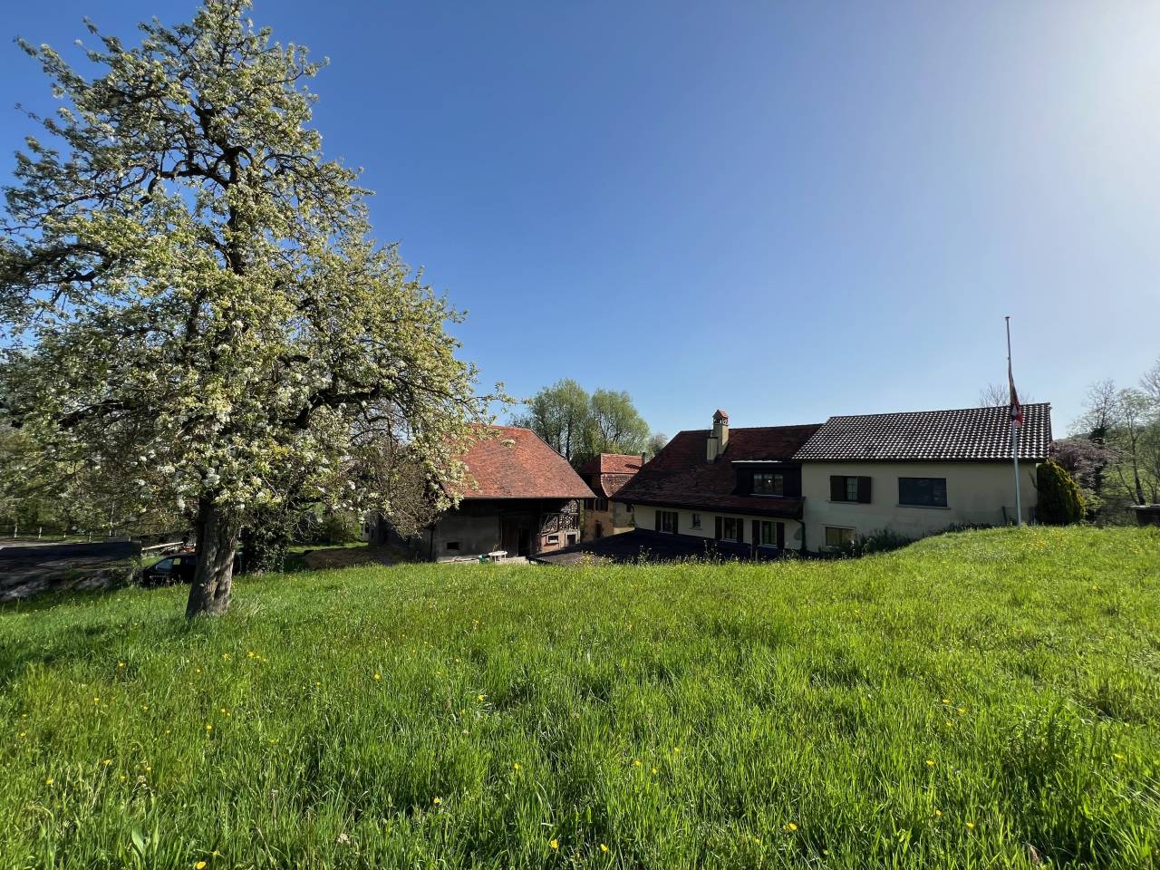 Paarden boerderij Koop Fribourg