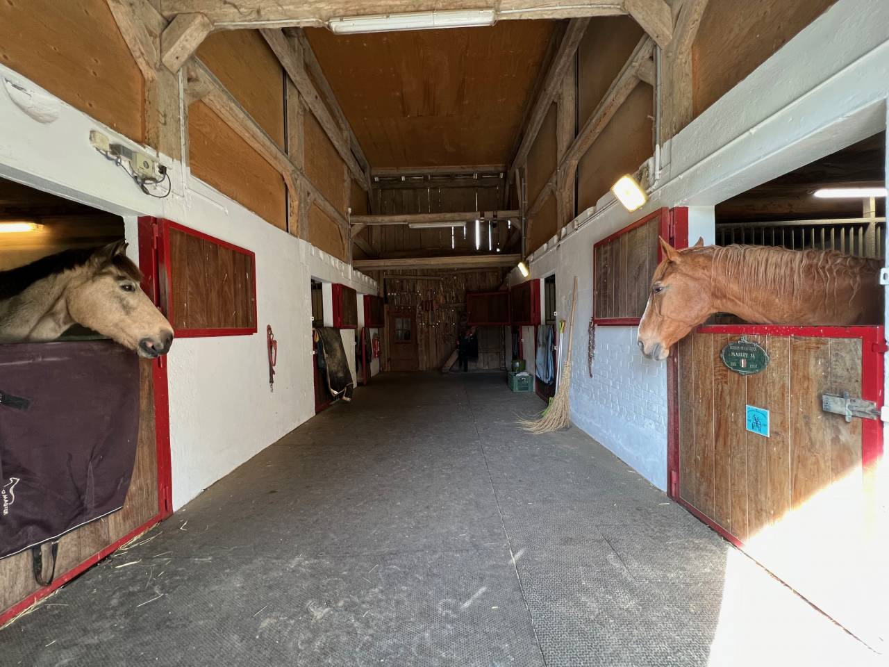 Paarden boerderij Koop Fribourg