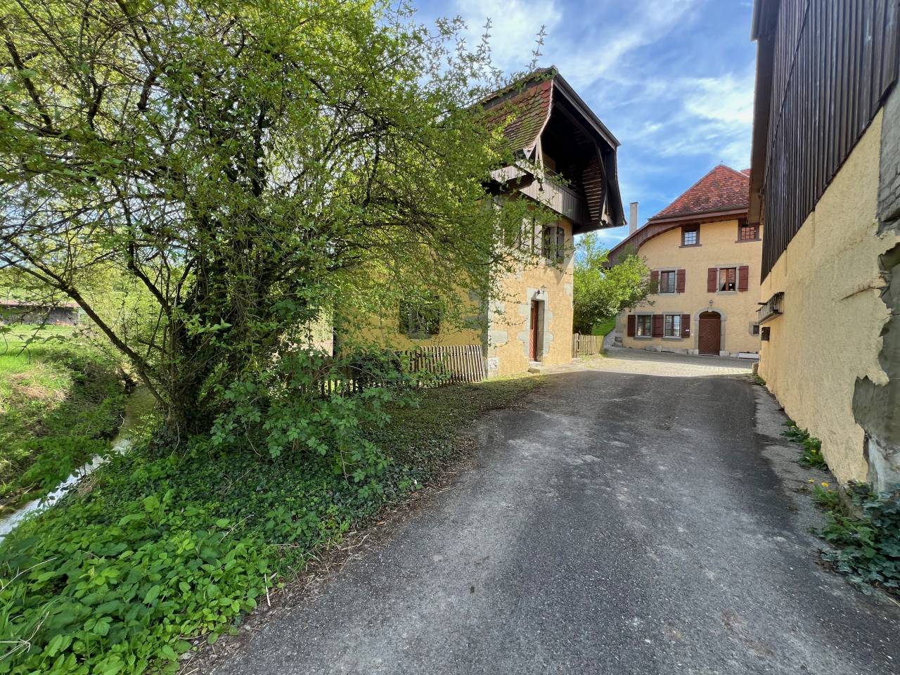 Paarden boerderij Koop Fribourg