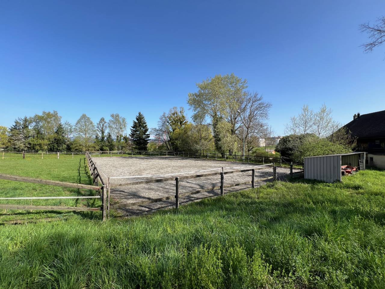 Paarden boerderij Koop Fribourg