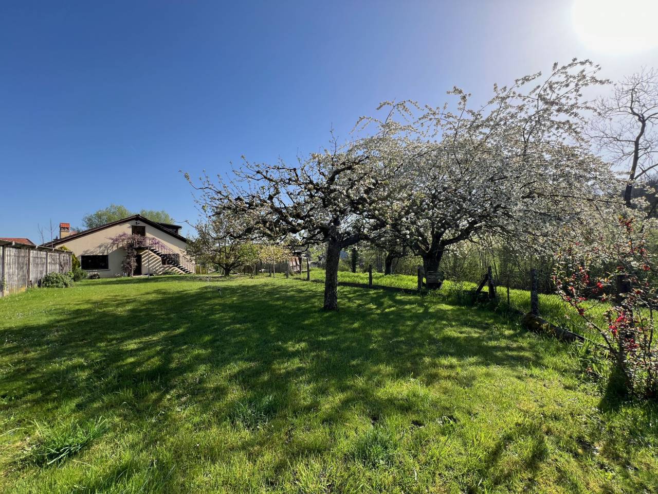 Paarden boerderij Koop Fribourg