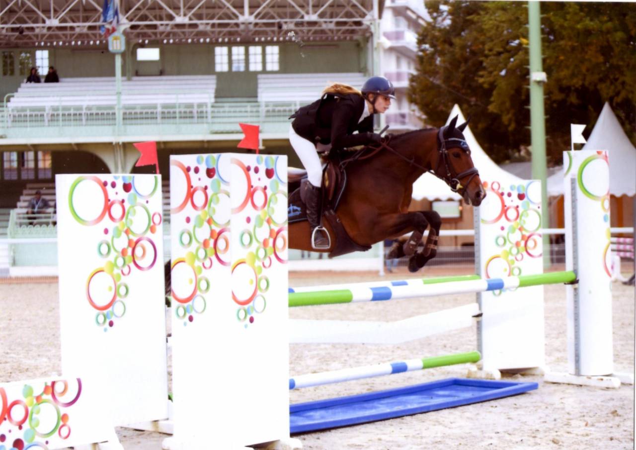 Ruin Franse rijpony PFS Te koop 2013 Donker bruin / bai ,  NINIO DE ROX