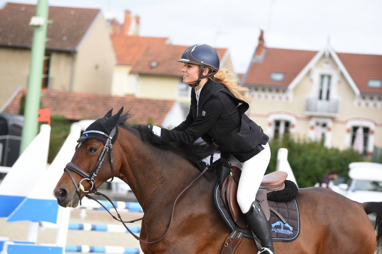 Ruin Franse rijpony PFS Te koop 2013 Donker bruin / bai ,  NINIO DE ROX