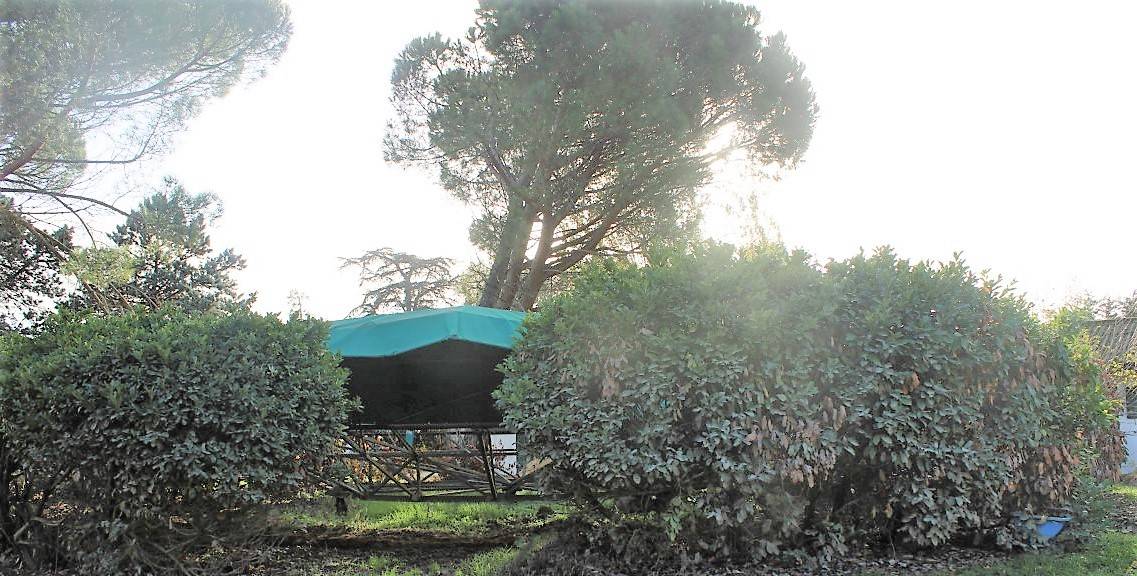Hippisch vastgoed Koop Tarn-et-Garonne