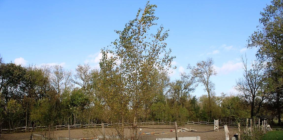 Hippisch vastgoed Koop Tarn-et-Garonne