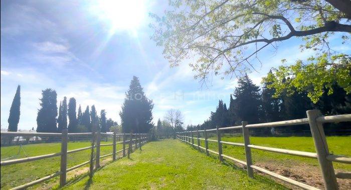 Hippisch vastgoed Koop Vaucluse