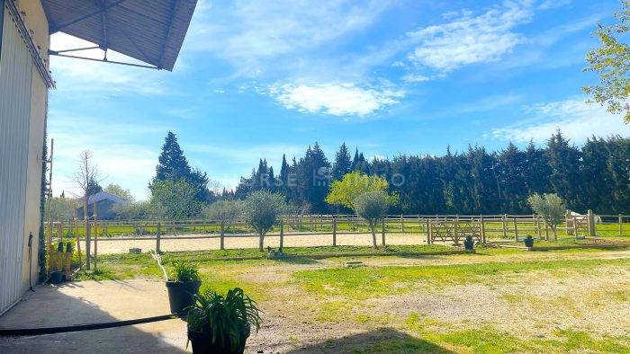 Hippisch vastgoed Koop Vaucluse