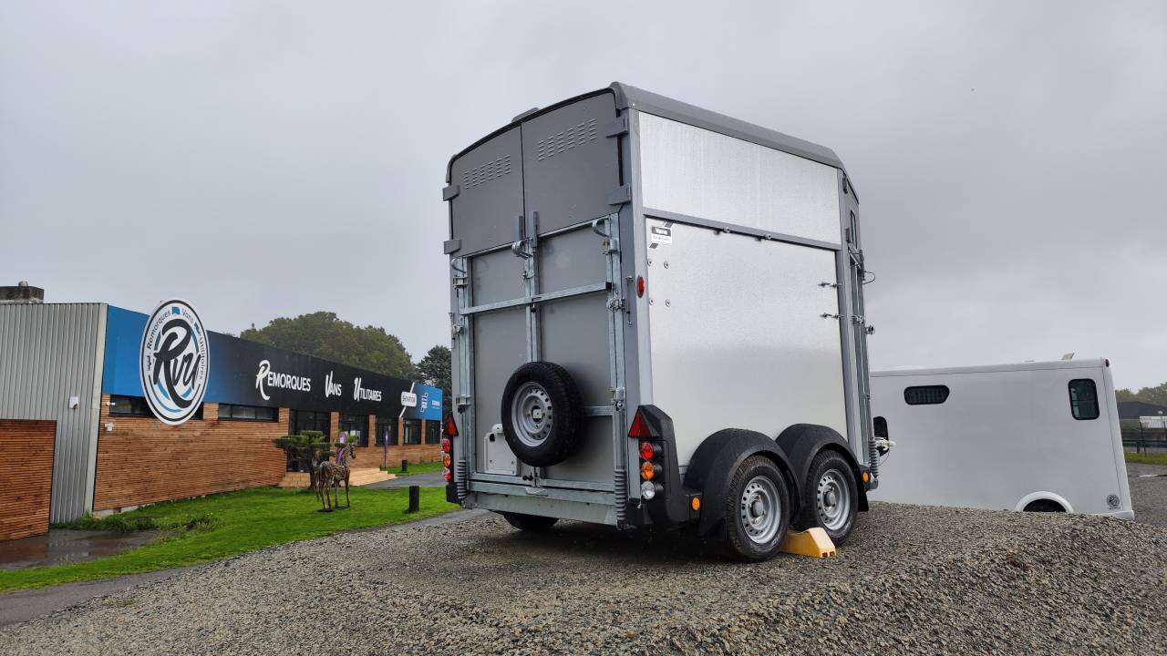 Paardentrailers Ifor Williams Hb506 2 Paarden 2023 Nieuw