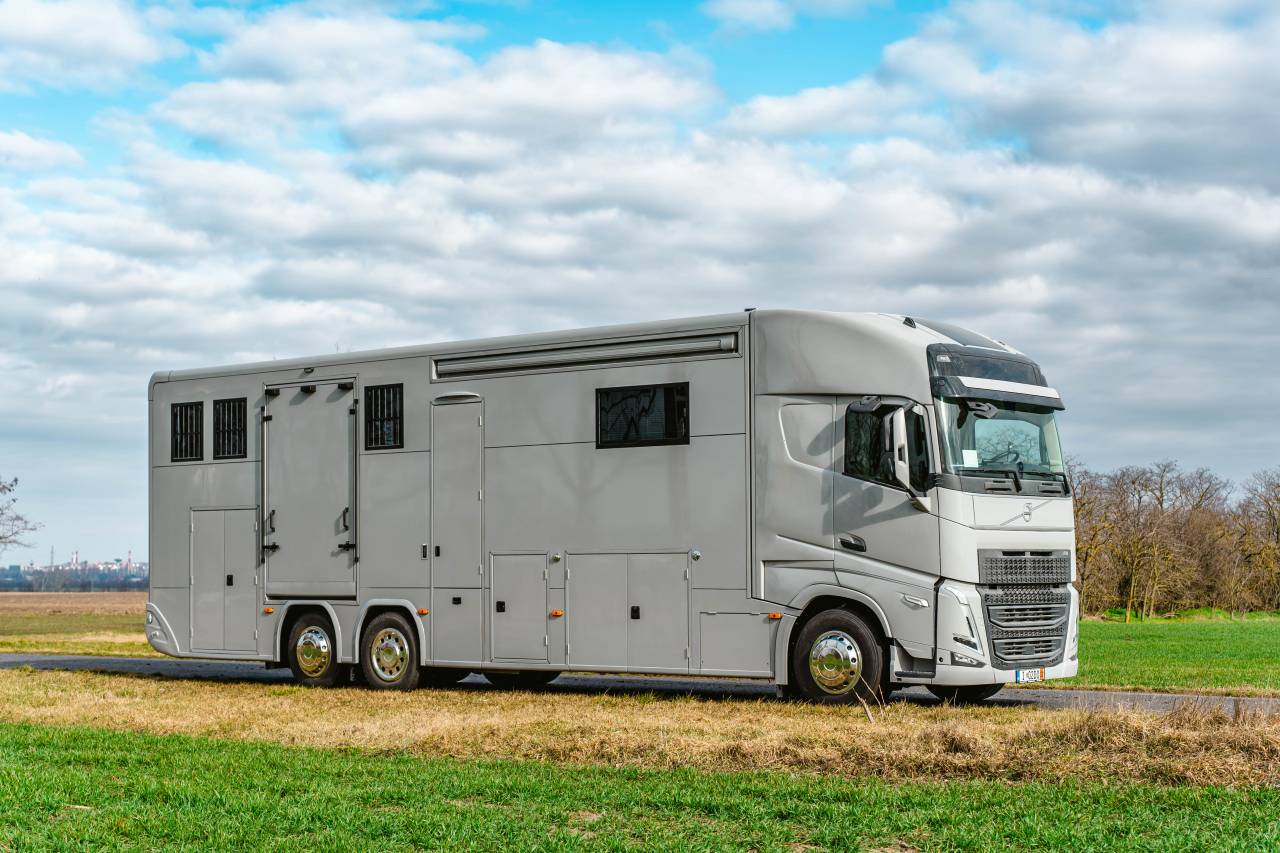 Zware paardenvrachtwagen (groot rijbewijs) Volvo VOLVO 0 Nieuw