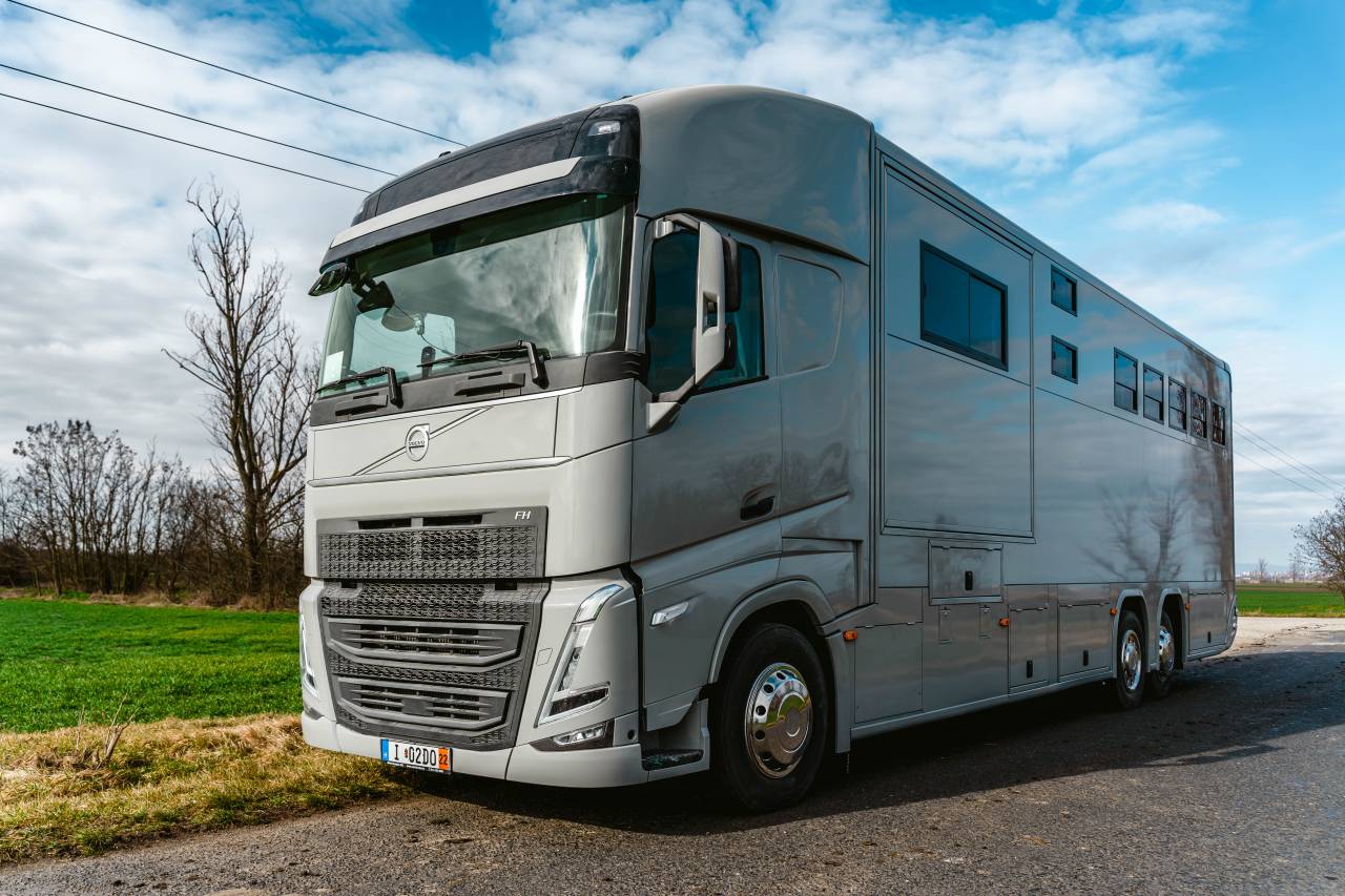 Zware paardenvrachtwagen (groot rijbewijs) Volvo VOLVO 0 Nieuw