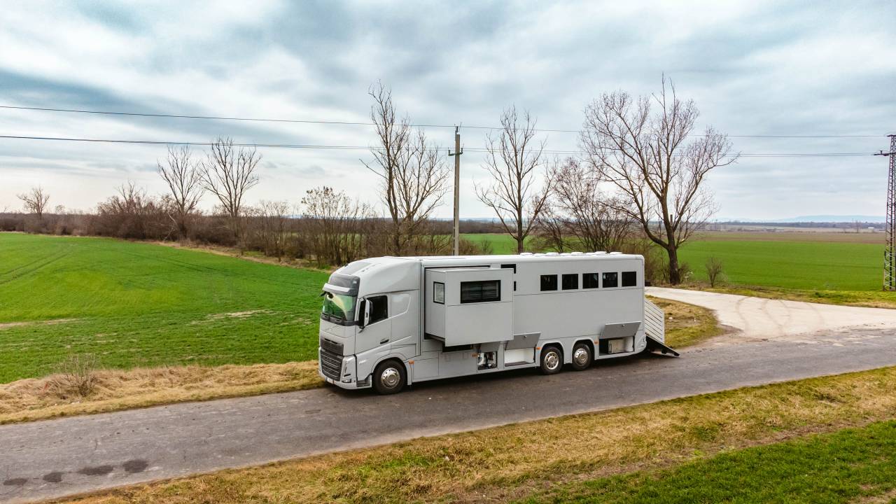 Zware paardenvrachtwagen (groot rijbewijs) Volvo VOLVO 0 Nieuw