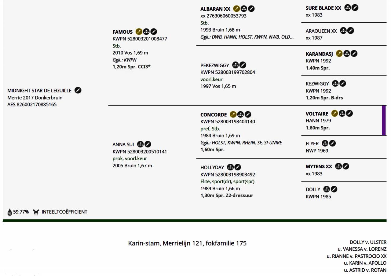 Merrie KWPN Nederlands sportpaard Te koop 2017 Donker bruin / bai