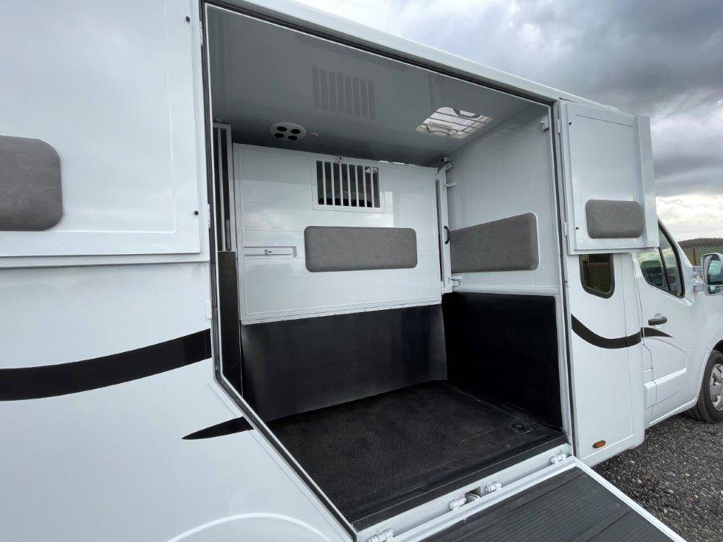 Kleine paardenvrachtwagen (B rijbewijs) Renault Master 2023 Nieuw