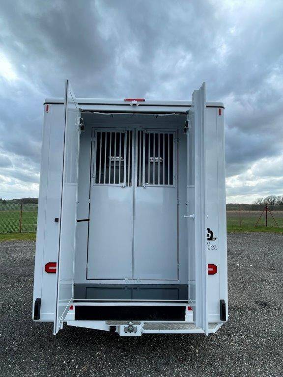 Kleine paardenvrachtwagen (B rijbewijs) Renault Master 2023 Nieuw