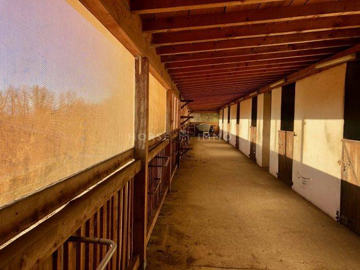 Stoeterij Koop Haute-Savoie