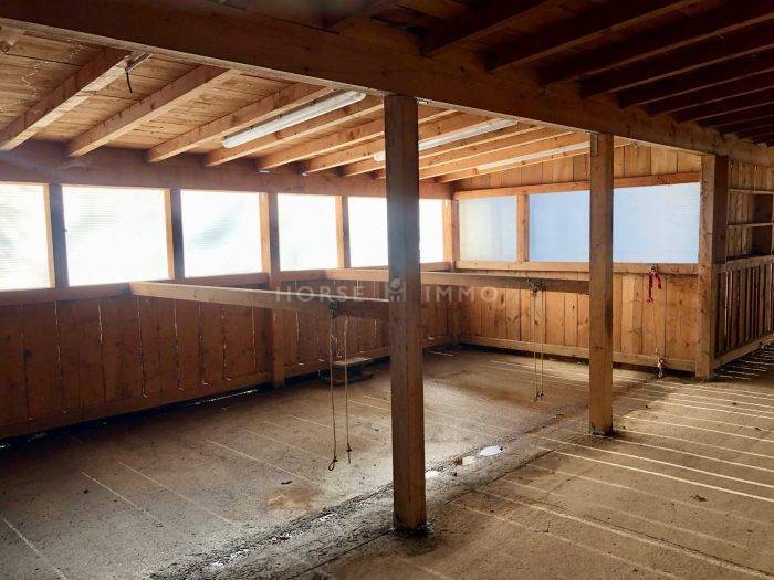 Stoeterij Koop Haute-Savoie