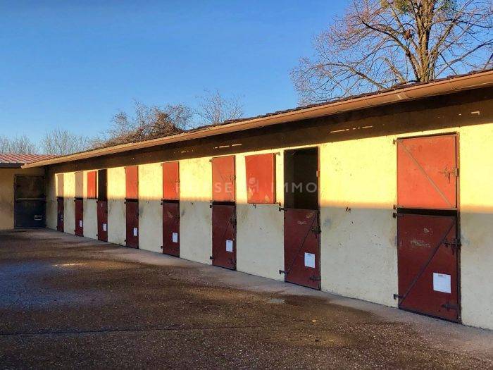 Stoeterij Koop Haute-Savoie