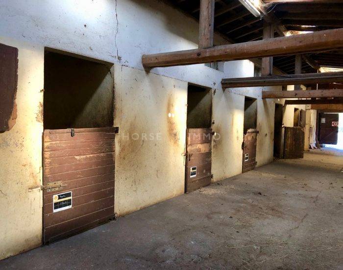 Stoeterij Koop Haute-Savoie