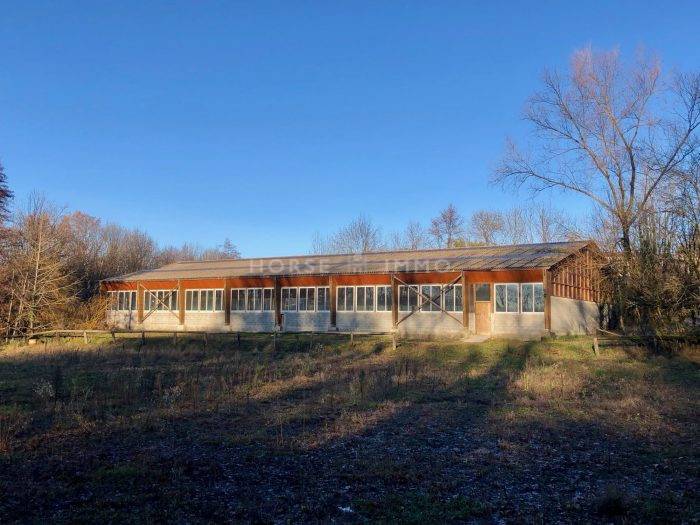 Stoeterij Koop Haute-Savoie