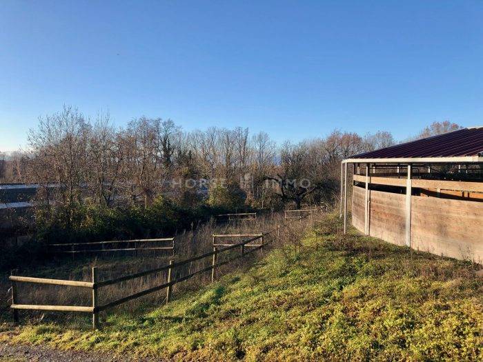 Stoeterij Koop Haute-Savoie