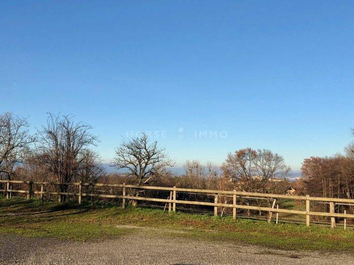 Stoeterij Koop Haute-Savoie