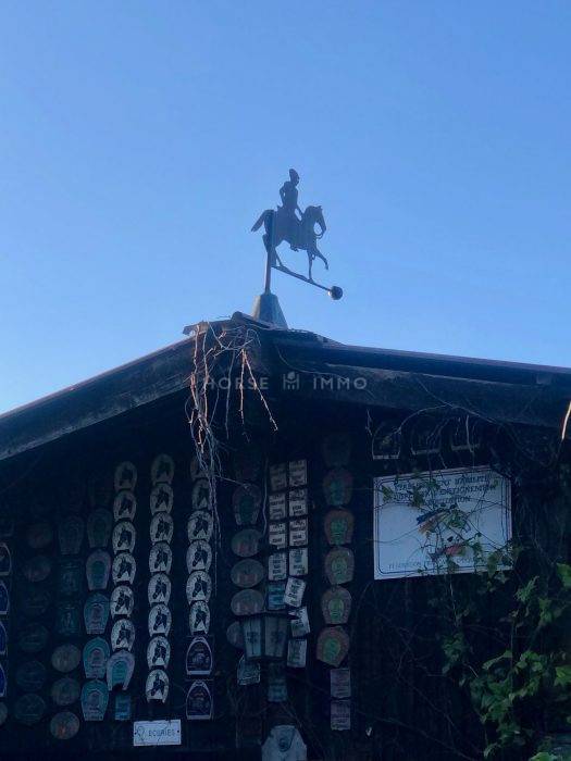 Stoeterij Koop Haute-Savoie