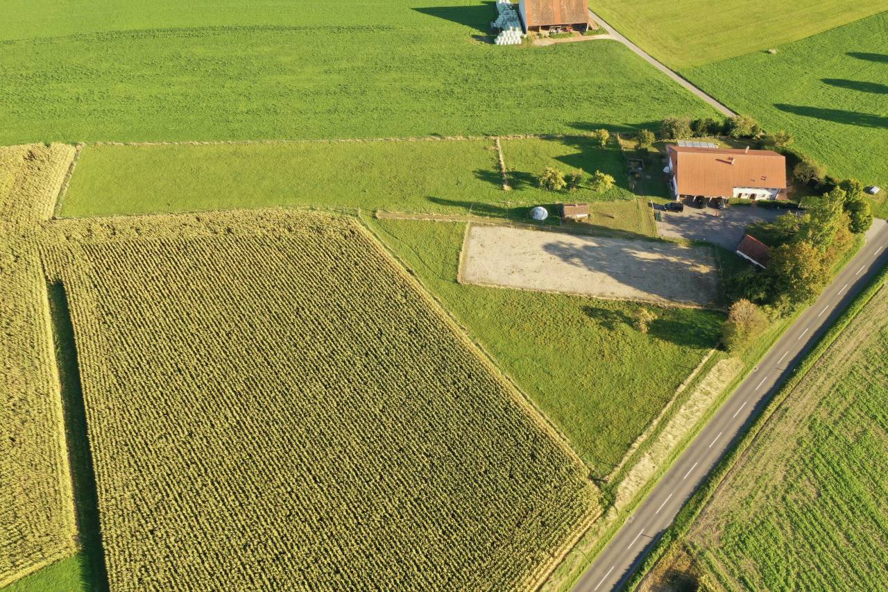 Paarden boerderij Koop Fribourg