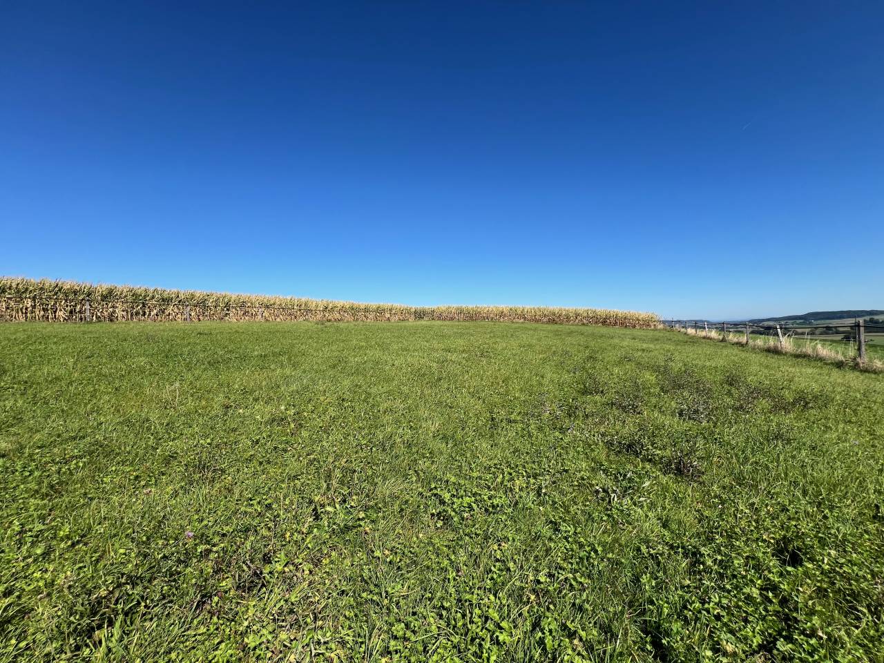 Paarden boerderij Koop Fribourg