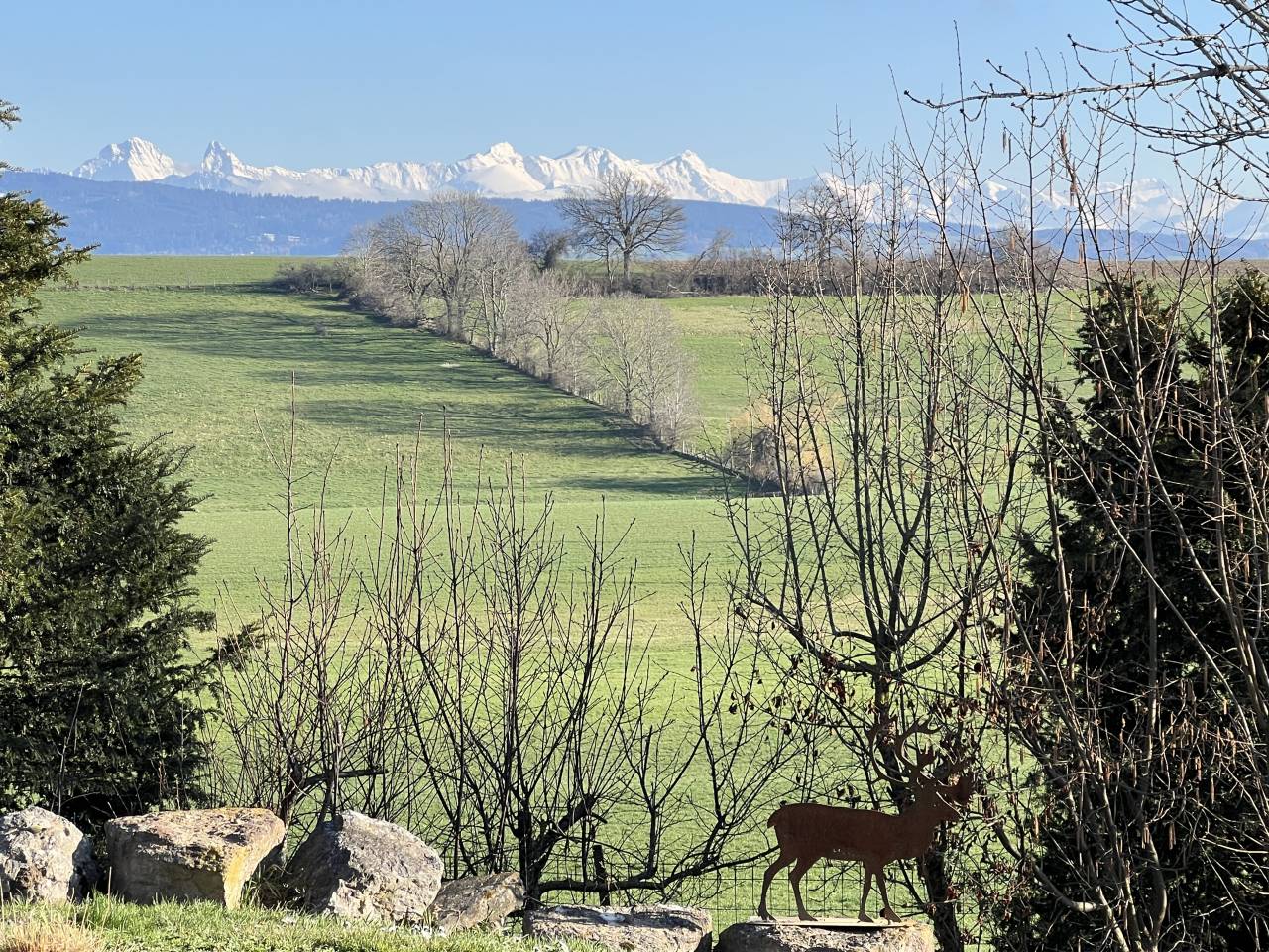 Paarden boerderij Koop Fribourg