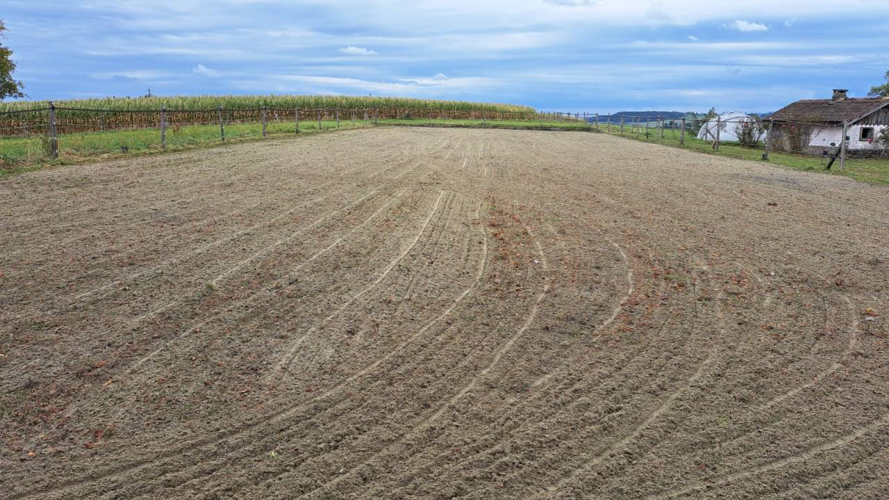 Paarden boerderij Koop Fribourg