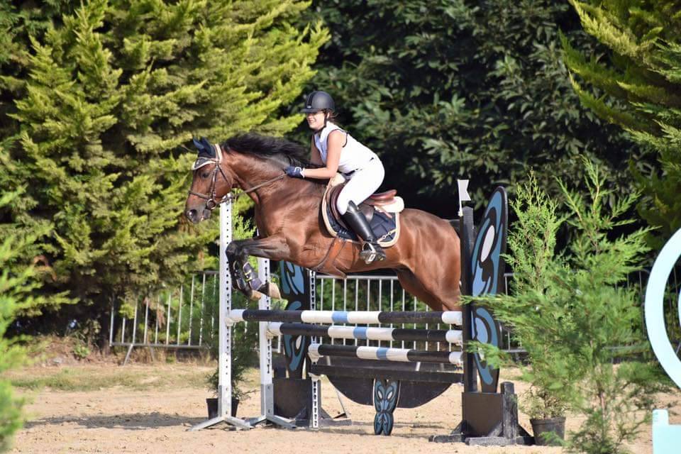 Najisco d'haryns  - Franse rijpony PFS 2001 ,  LINARO SL