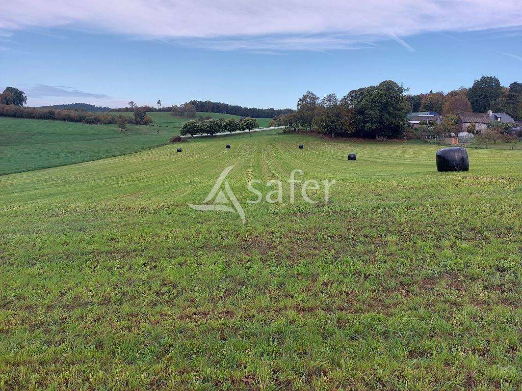 Schapen exploitatie Koop Corrèze