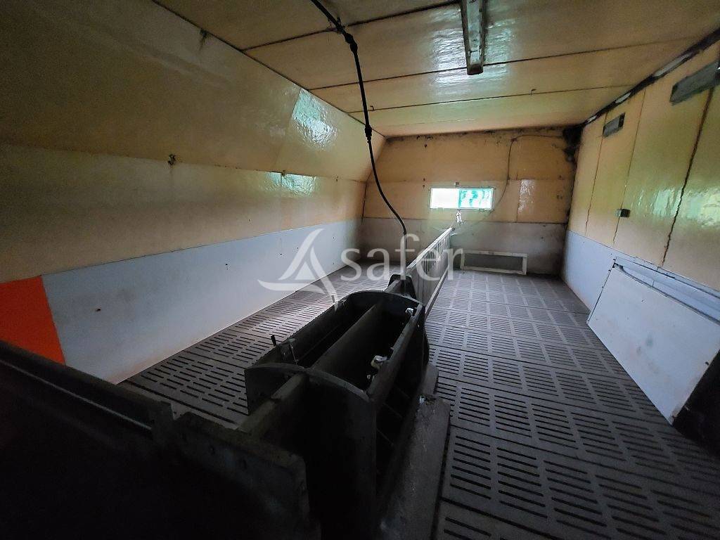 Schapen exploitatie Koop Corrèze