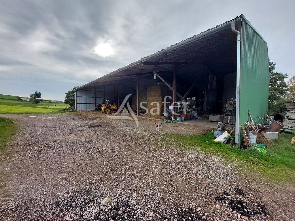 Schapen exploitatie Koop Corrèze