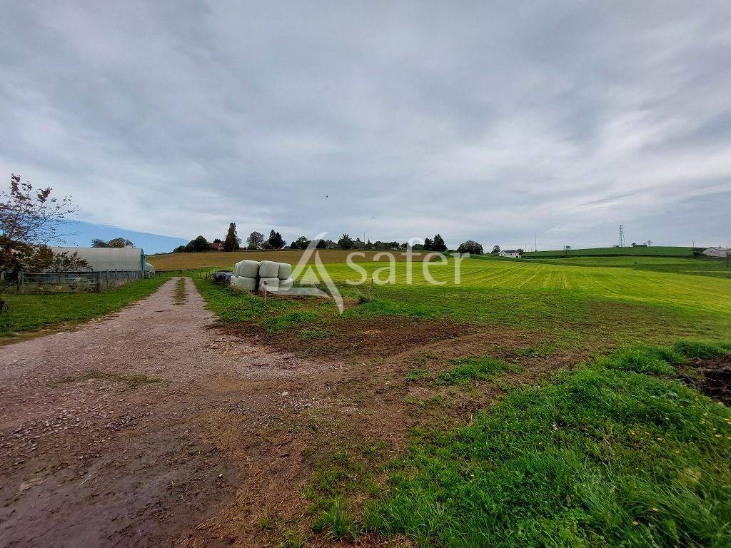 Schapen exploitatie Koop Corrèze