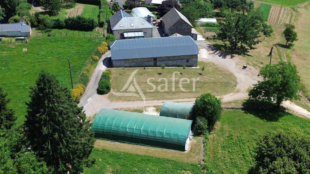 Schapen exploitatie Koop Corrèze