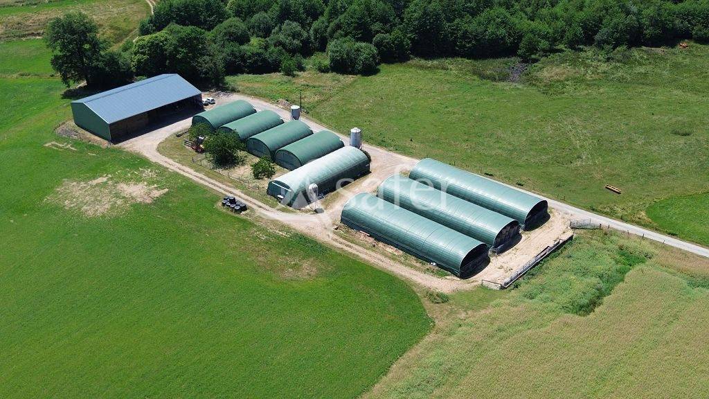 Schapen exploitatie Koop Corrèze