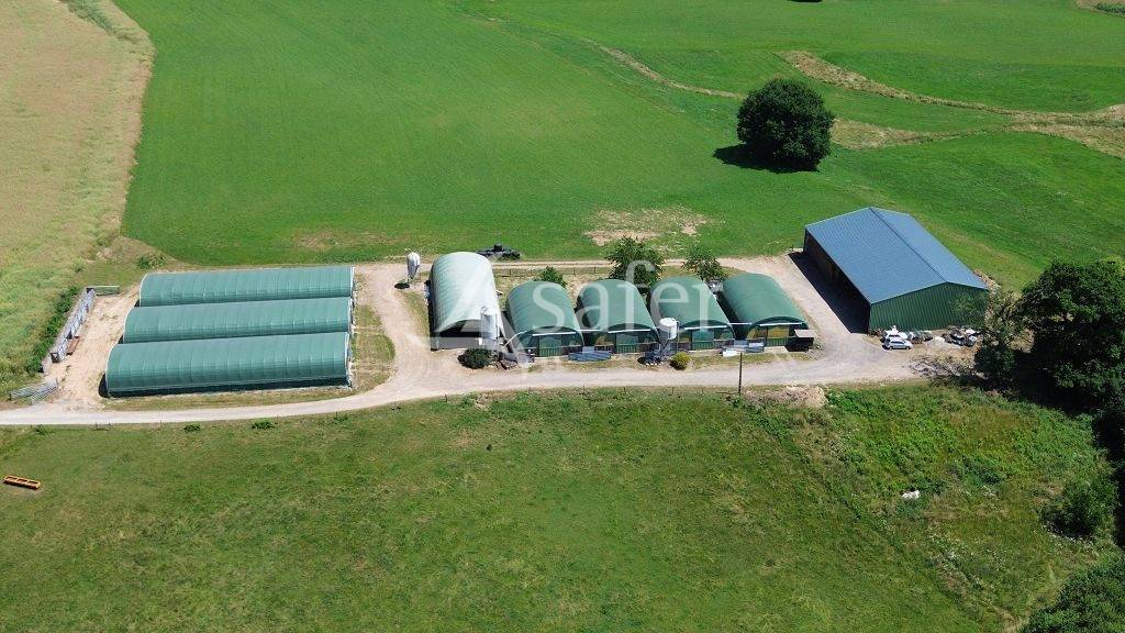 Schapen exploitatie Koop Corrèze