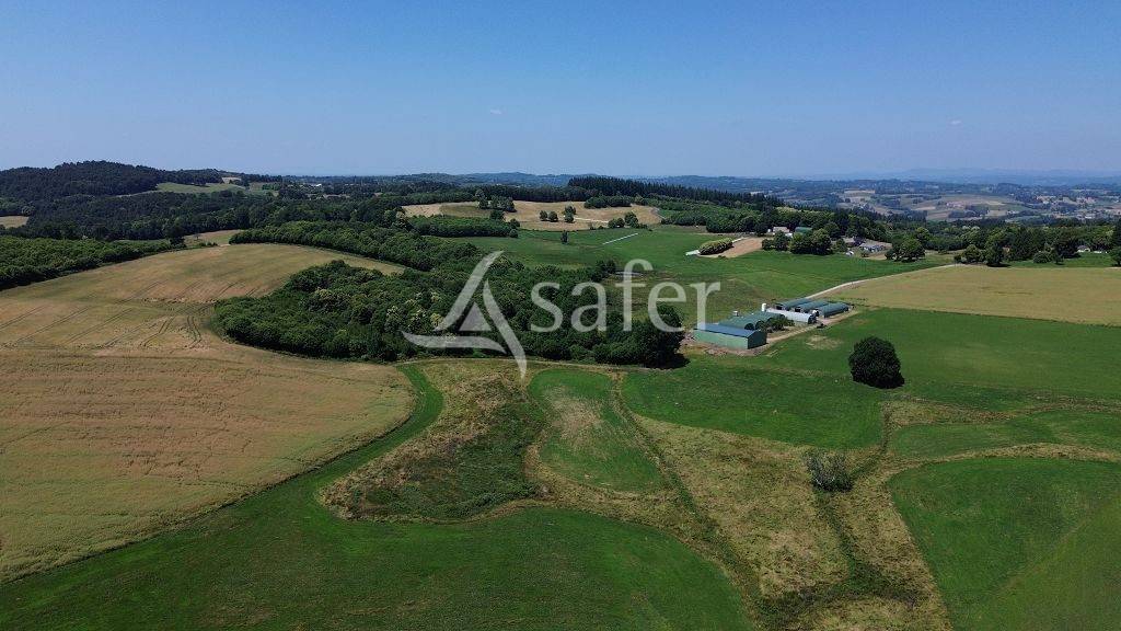 Schapen exploitatie Koop Corrèze