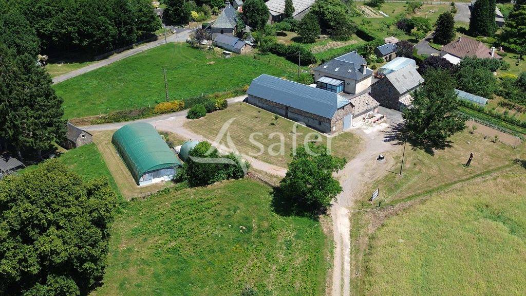 Schapen exploitatie Koop Corrèze