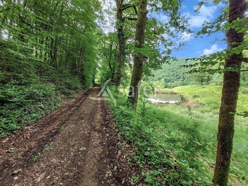 Landbouw bedrijf Koop Corrèze