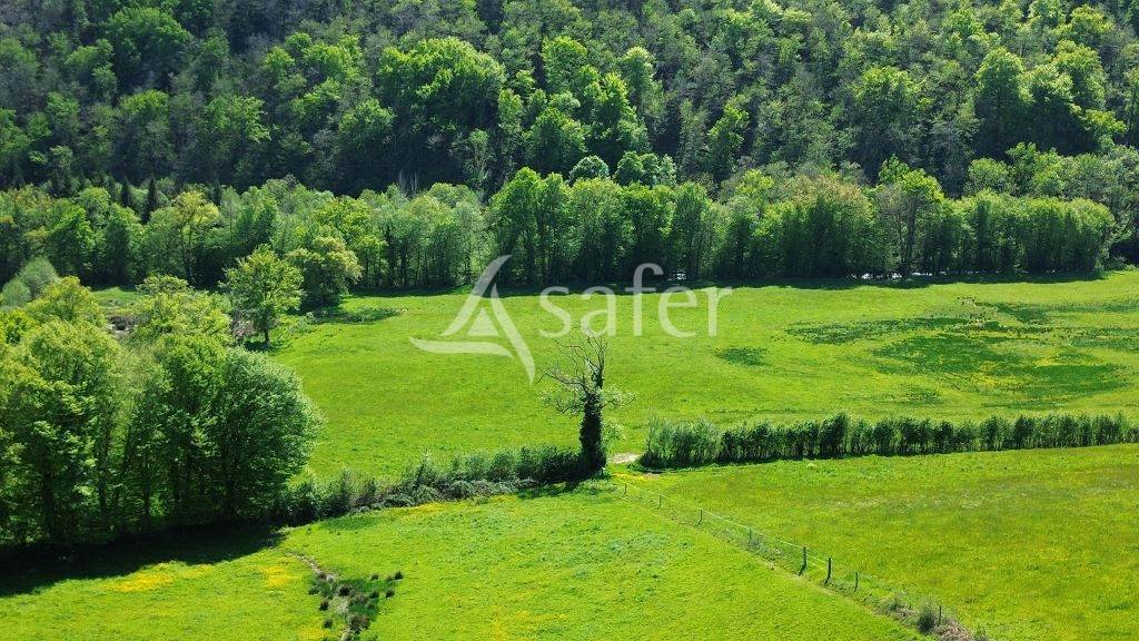 Landbouw bedrijf Koop Corrèze