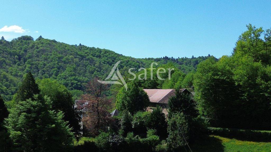 Landbouw bedrijf Koop Corr&egrave;ze