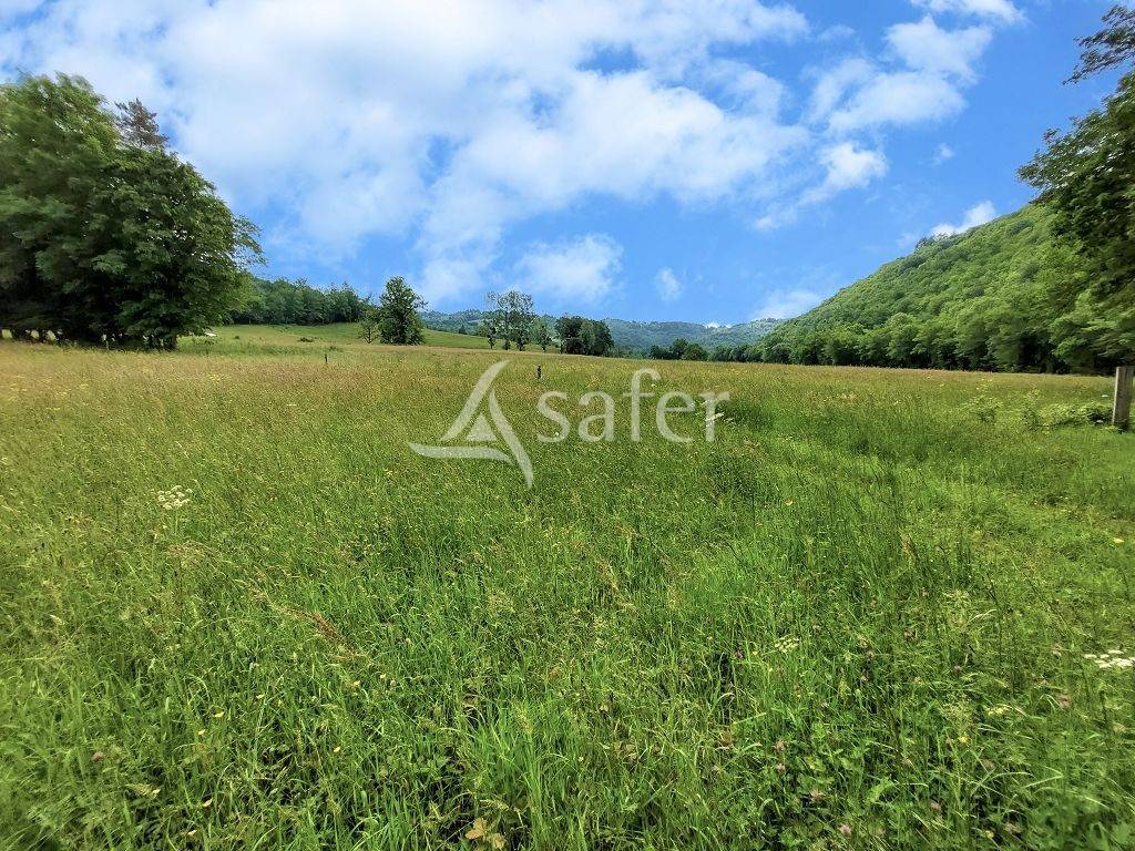 Landbouw bedrijf Koop Corr&egrave;ze