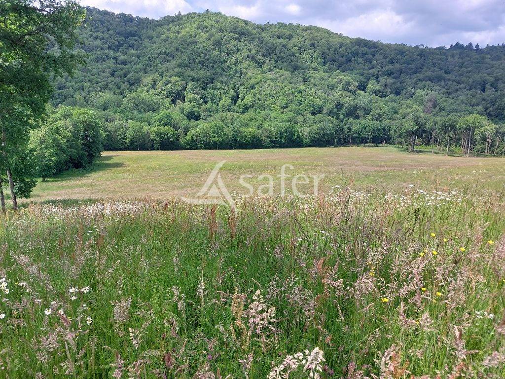 Landbouw bedrijf Koop Corr&egrave;ze