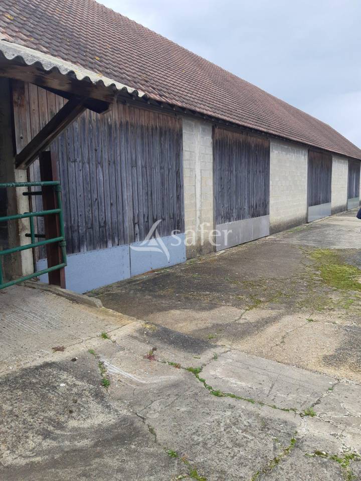 Melk exploitatie Koop Sarthe