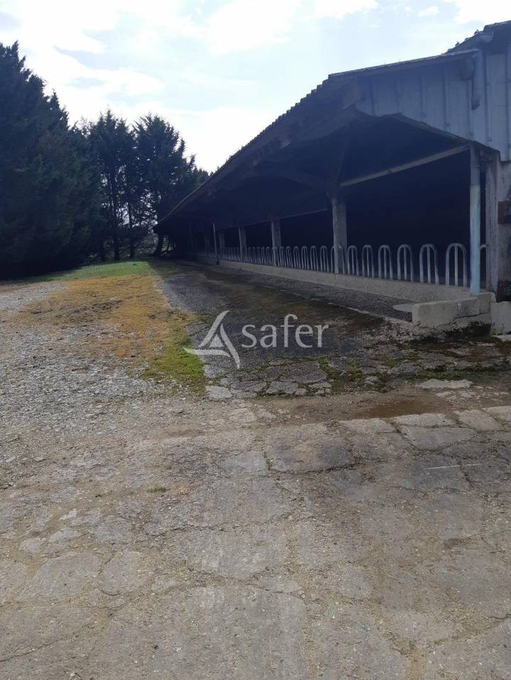 Melk exploitatie Koop Sarthe